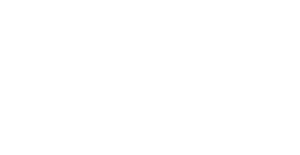 Jerry Ross Band